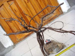gallery_10001_838_214214.jpg