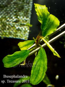 gallery_17686_2020_116558.jpg