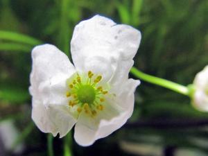 gallery_24755_1698_351428.jpg