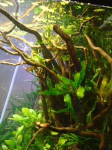 gallery_10001_838_37594.jpg