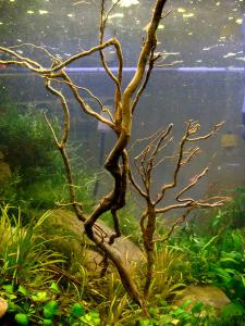 gallery_10001_838_88038.jpg