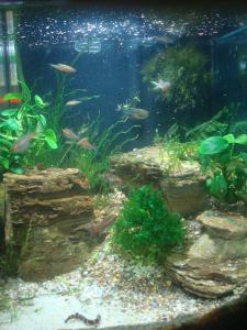 gallery_25364_1761_142306.jpg