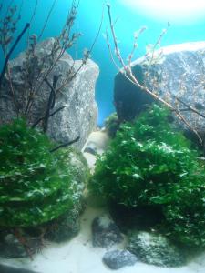 gallery_25364_2040_12011.jpg