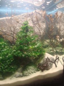 gallery_25364_2040_357991.jpg