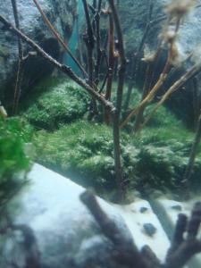 gallery_25364_2040_89369.jpg