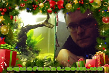 gallery_1522_467_6482.png