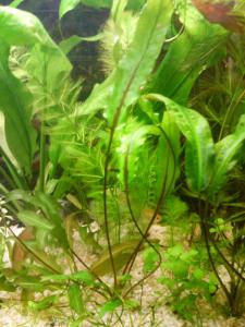 gallery_9837_2064_65760.jpg