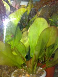 gallery_24820_2078_304983.jpg