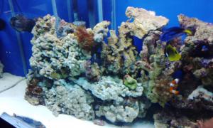 gallery_11974_1022_258200.jpg