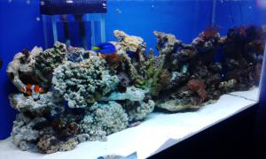 gallery_11974_1022_410498.jpg