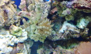 gallery_11974_1022_529061.jpg