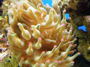 gallery_11974_1022_698414.jpg