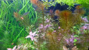 gallery_23790_2102_41829.jpg