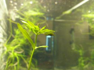 gallery_30572_2109_620355.jpg