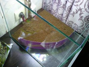 gallery_21242_2114_1712820.jpg