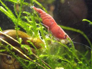 gallery_23332_2014_129714.jpg