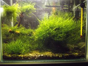 gallery_23332_2014_41571.jpg