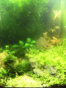 gallery_23332_2124_26802.jpg