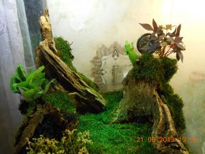 gallery_32071_2167_136896.jpg