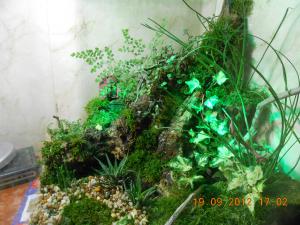 gallery_32071_2167_320902.jpg