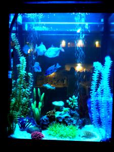gallery_31165_2166_1279631.jpg