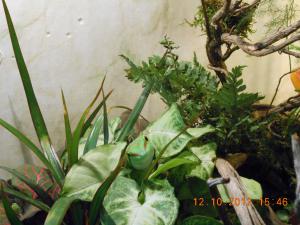gallery_32071_2167_1321355.jpg