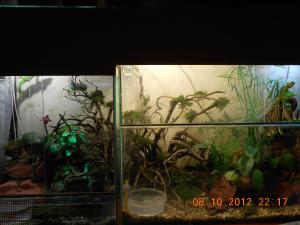 gallery_32071_2167_182490.jpg