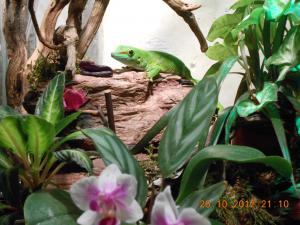 gallery_32071_2167_2966421.jpg
