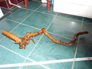 gallery_30970_2170_2457275.jpg
