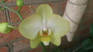 gallery_32184_2175_1120080.jpg