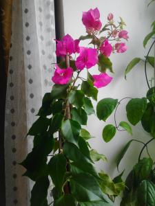 gallery_3651_2039_125086.jpg