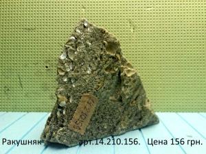 gallery_29331_2215_47564.jpg