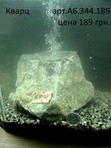 gallery_29331_2217_143268.jpg