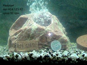 gallery_29331_2217_166064.jpg
