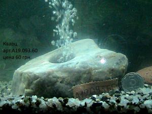 gallery_29331_2217_186383.jpg