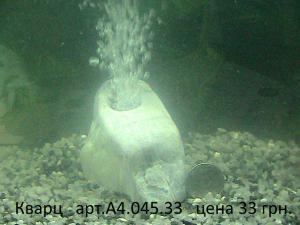 gallery_29331_2217_189142.jpg