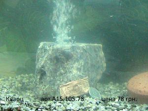 gallery_29331_2217_274467.jpg