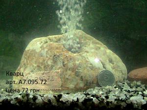 gallery_29331_2217_54353.jpg