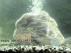 gallery_29331_2217_64969.jpg