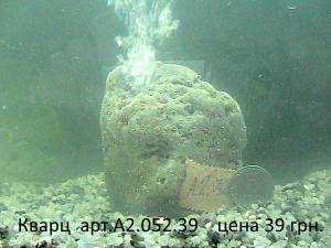 gallery_29331_2217_76247.jpg