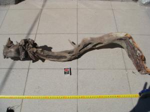 gallery_10001_838_86261.jpg