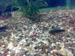 gallery_18591_1349_590077.jpg