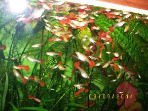 gallery_17653_2190_738351.jpg