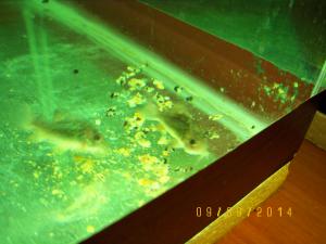gallery_17653_2205_963148.jpg