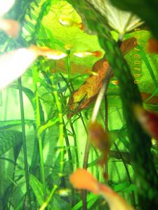 gallery_17653_2227_599839.jpg