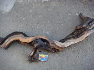 gallery_10001_838_178684.jpg