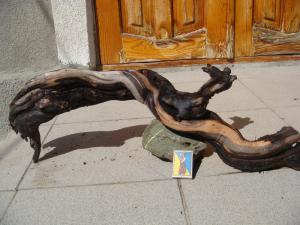 gallery_10001_838_39756.jpg