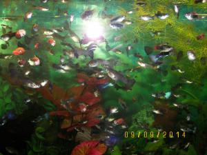 gallery_17653_2231_63829.jpg