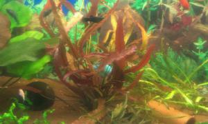 gallery_30089_2260_117412.jpg
