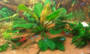 gallery_30089_2260_169559.jpg
